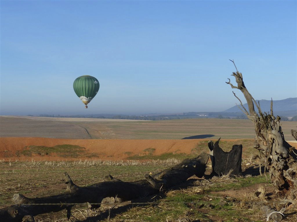 Hot Air Ballooning Cape Winelands Paarl Wellington South Africa