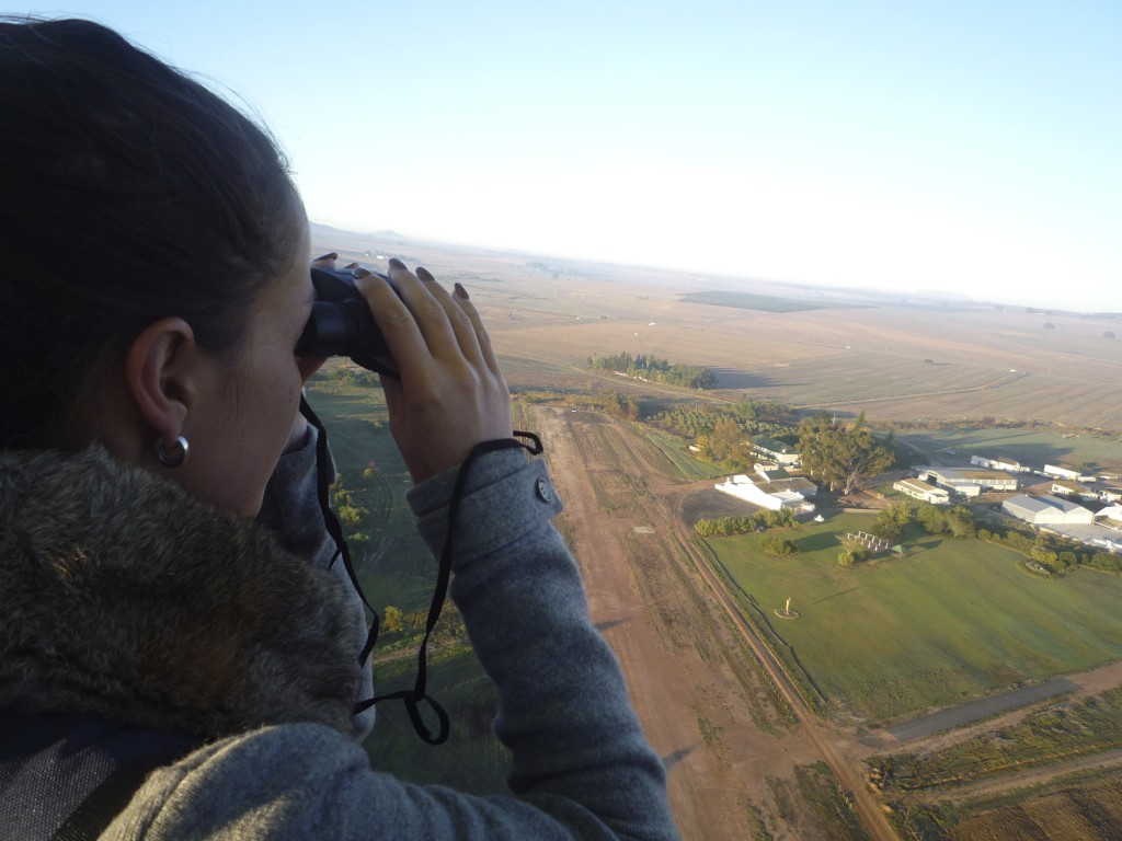 Hot Air Ballooning Cape Winelands Paarl Wellington South Africa