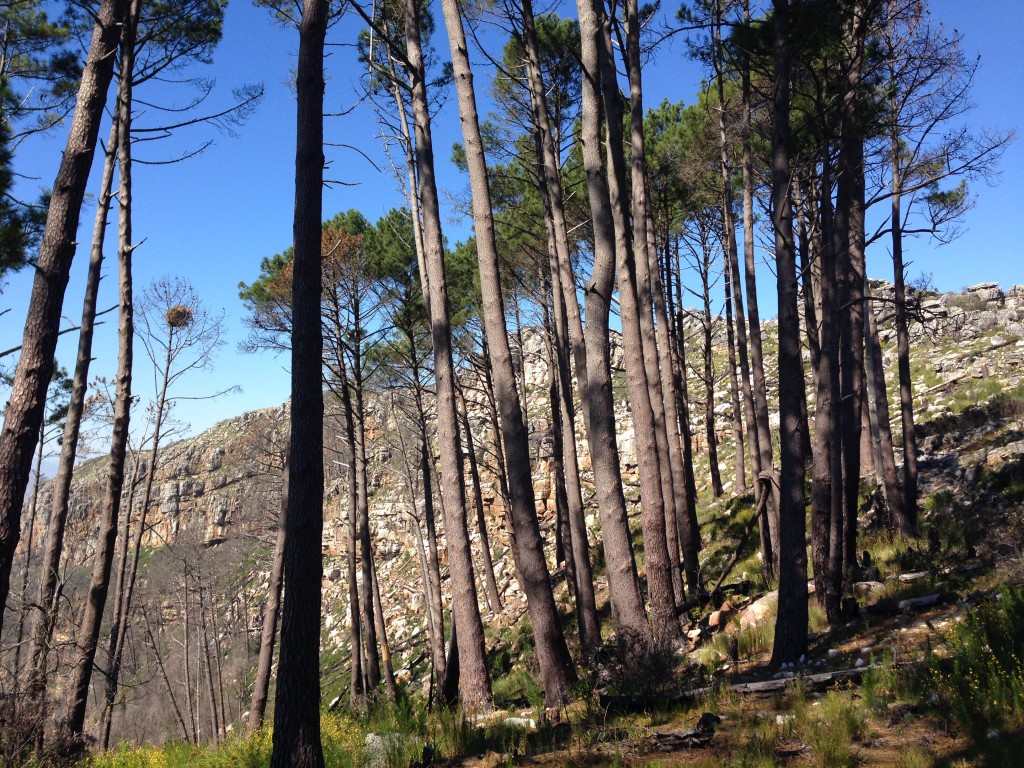 Great hiking near Cape Town Hout Bay And Kalk Bay