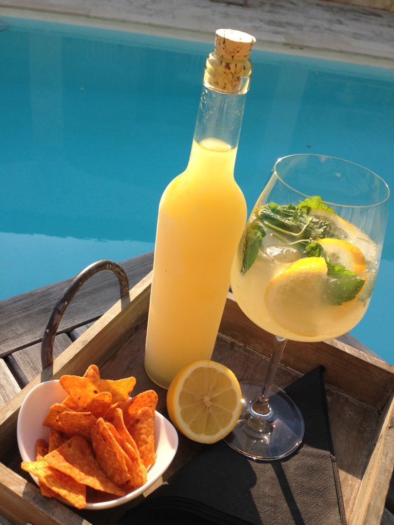 Limoncello tonic is a great variety on the popular Gin and Tonic. Nice, tasty, delicious and refreshing as aperitif! 