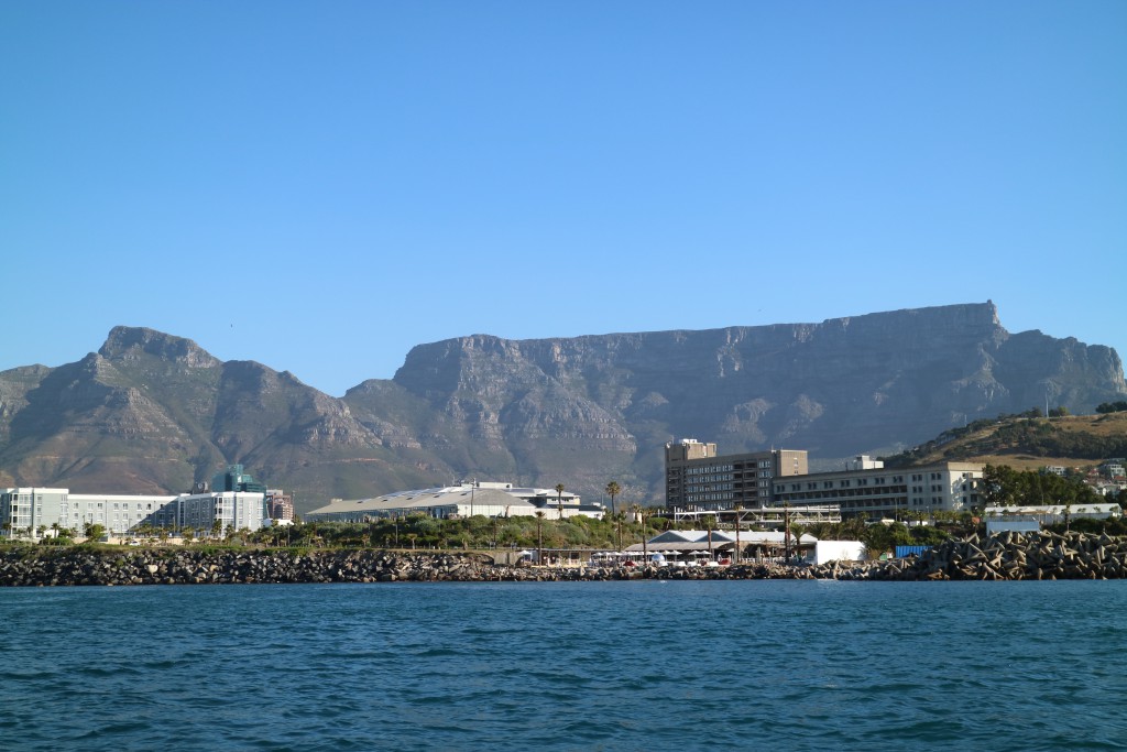 Cape Town seen from the Atlantic Ocean, sailing, South Africa, whales