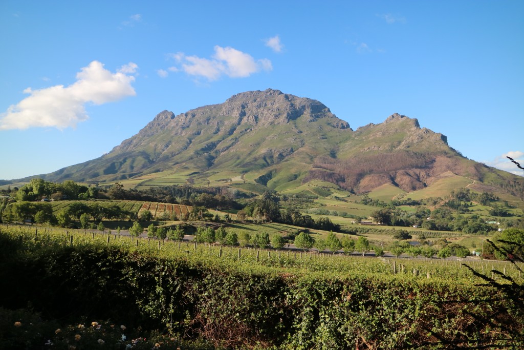 20 reasons why I love South Africa, travel, Cape Town, Route 62, Durban, Greyton, Franschhoek, South Africa
