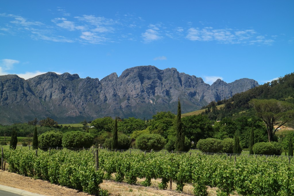 20 reasons why I love South Africa, travel, Cape Town, Route 62, Durban, Greyton, Franschhoek, South Africa