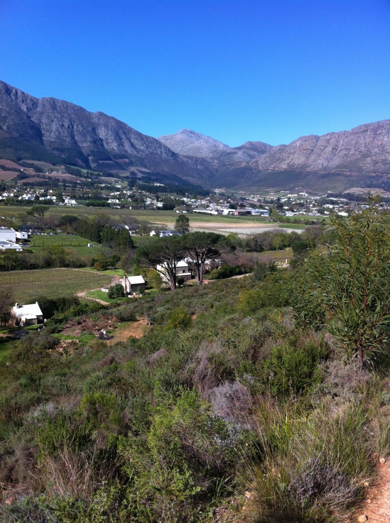 Wine tasting on a horseback and horse riding trails, Paradise Cottages & Stables, Franschhoek South Africa Cape Winelands