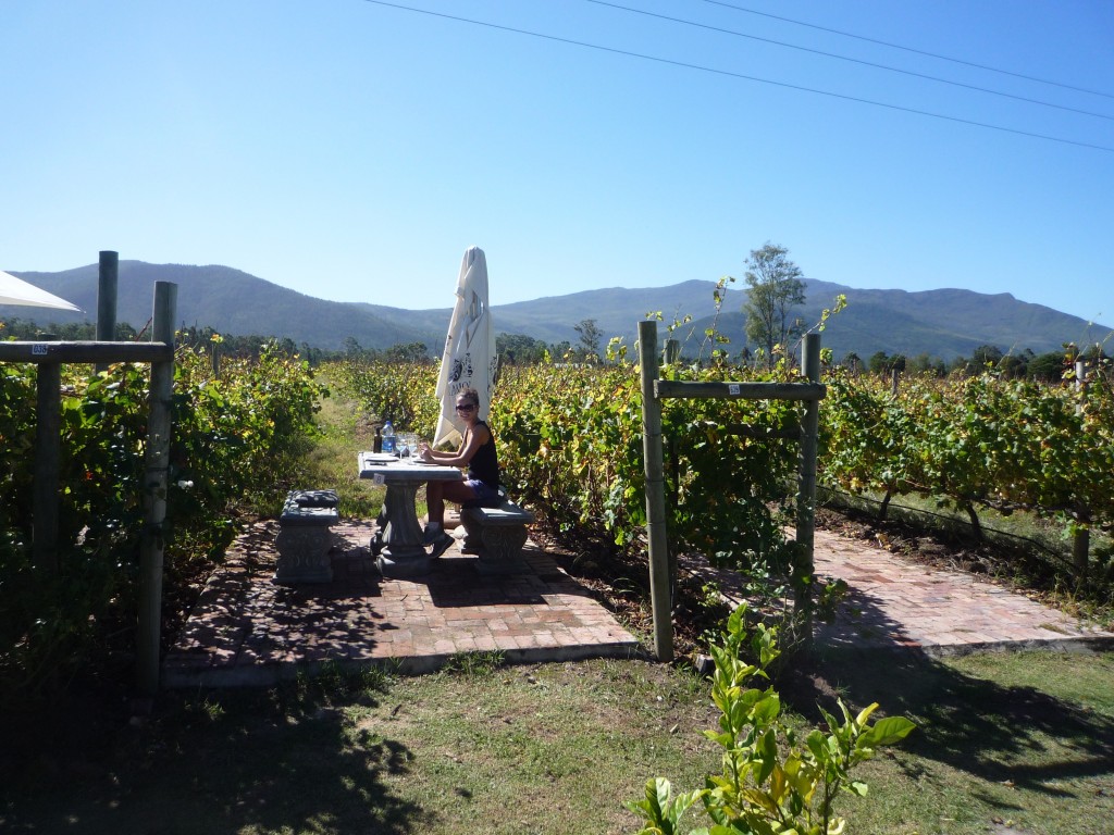 Bramon Winery, Plettenberg Bay, Picnic in the vines, vineyards, Sunday, Family