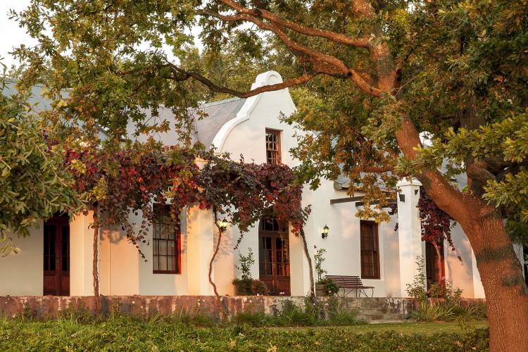 25 wineries not to miss in the Cape Winelands – Part 3 – Eat Well ...
